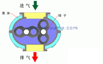 Roots vacuum pump working principle