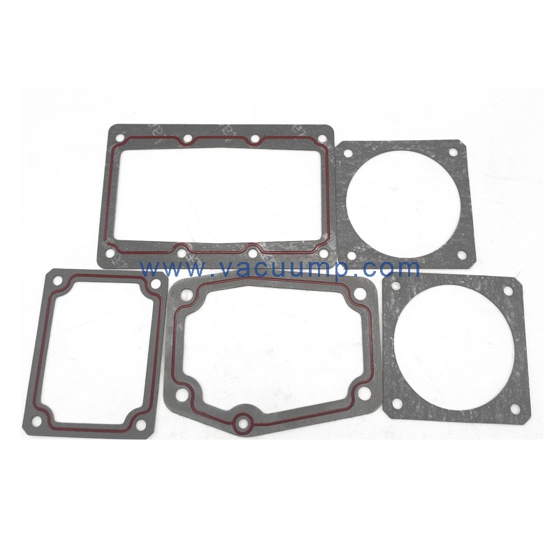 RA0063 RA0100 Seal Kit 0990106211Repair Parts O-rings Gasket Kit for BUSCH vacuum pump