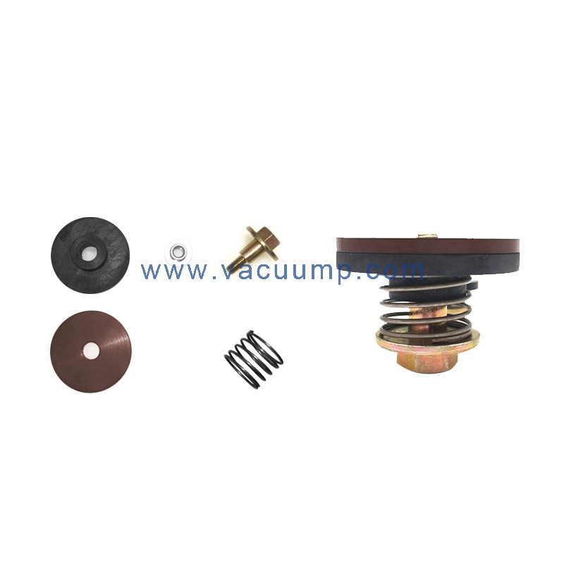 RA0160-0302D Exhaust valve PN/0916516777 rotary vane repair kit vacuum pump parts For BUSCH