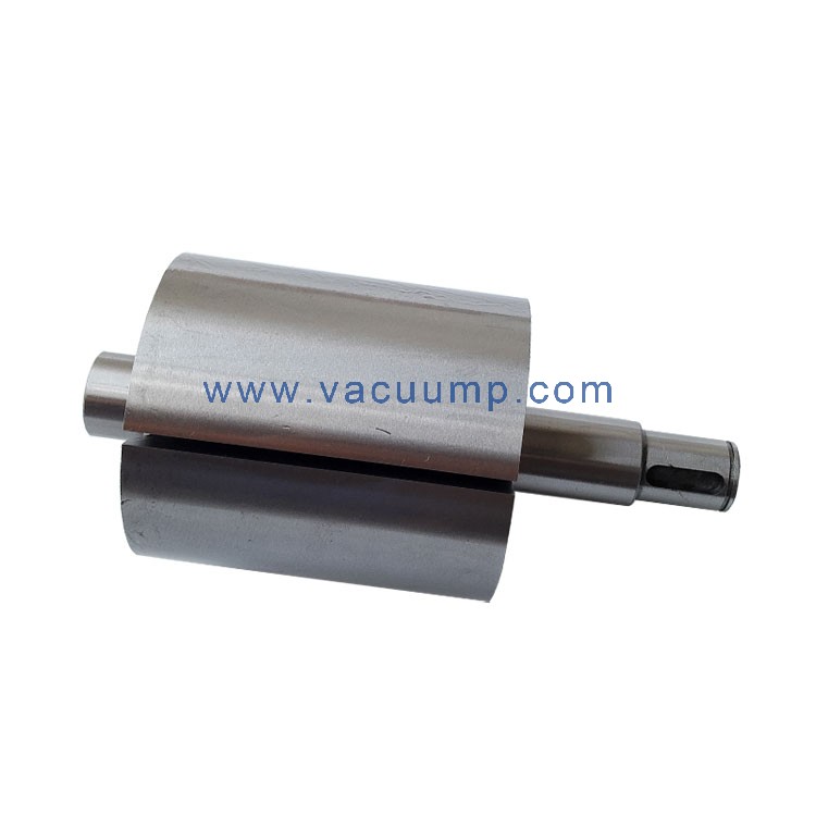 VC202/303 Rotor PN5288340000 Vacuum pump Repair parts Kit Rotore For Elmo Rietschle