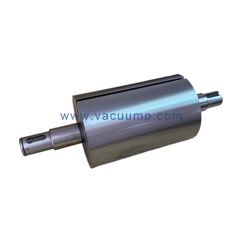 RA0100F Rotor PN/0210108663 Repair kit parts for BUSCH vacuum pump