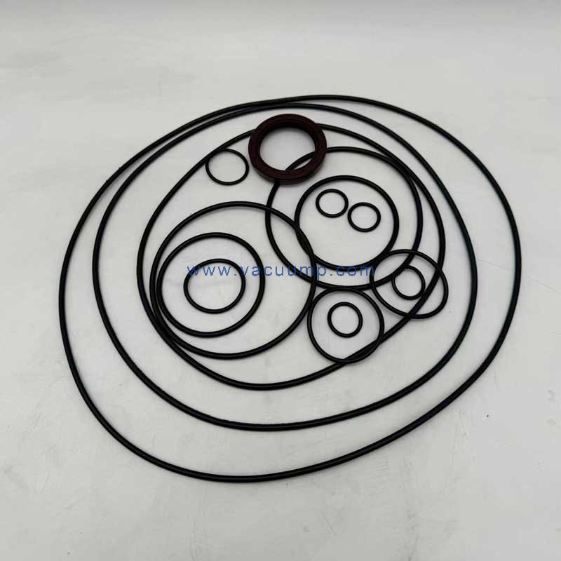 RD200-360A Seal Kit PN0990213800 Vacuum pump Repair parts for BUSCH
