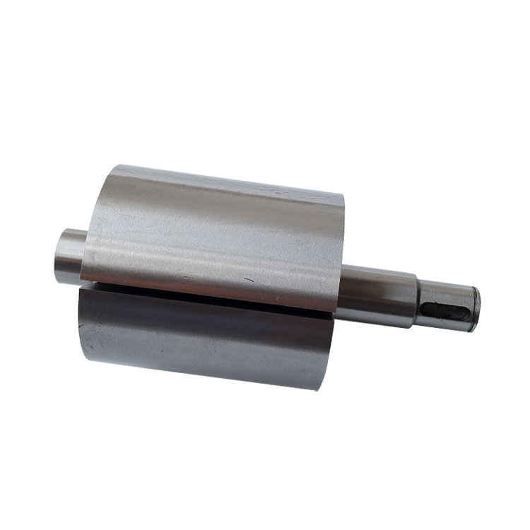 Rietschle里其乐真空泵转子VC50/VC75