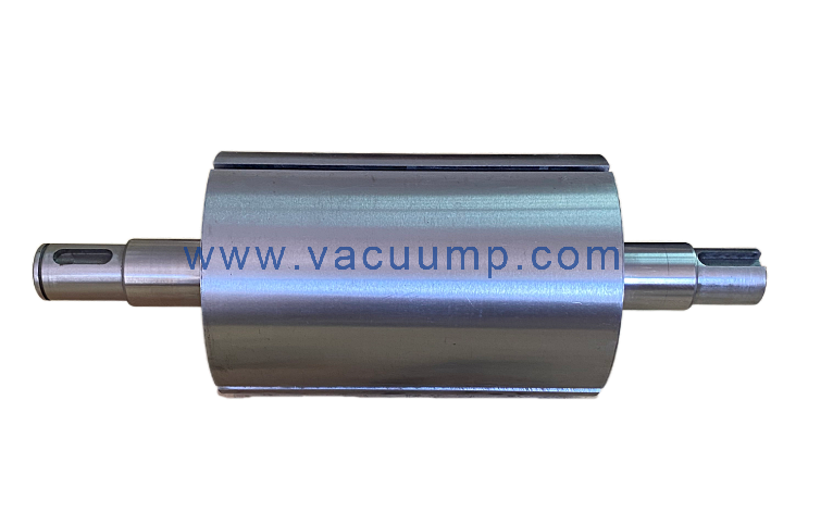 RA0100F转子PN/0210108663用于进口真空泵的维修套件零件